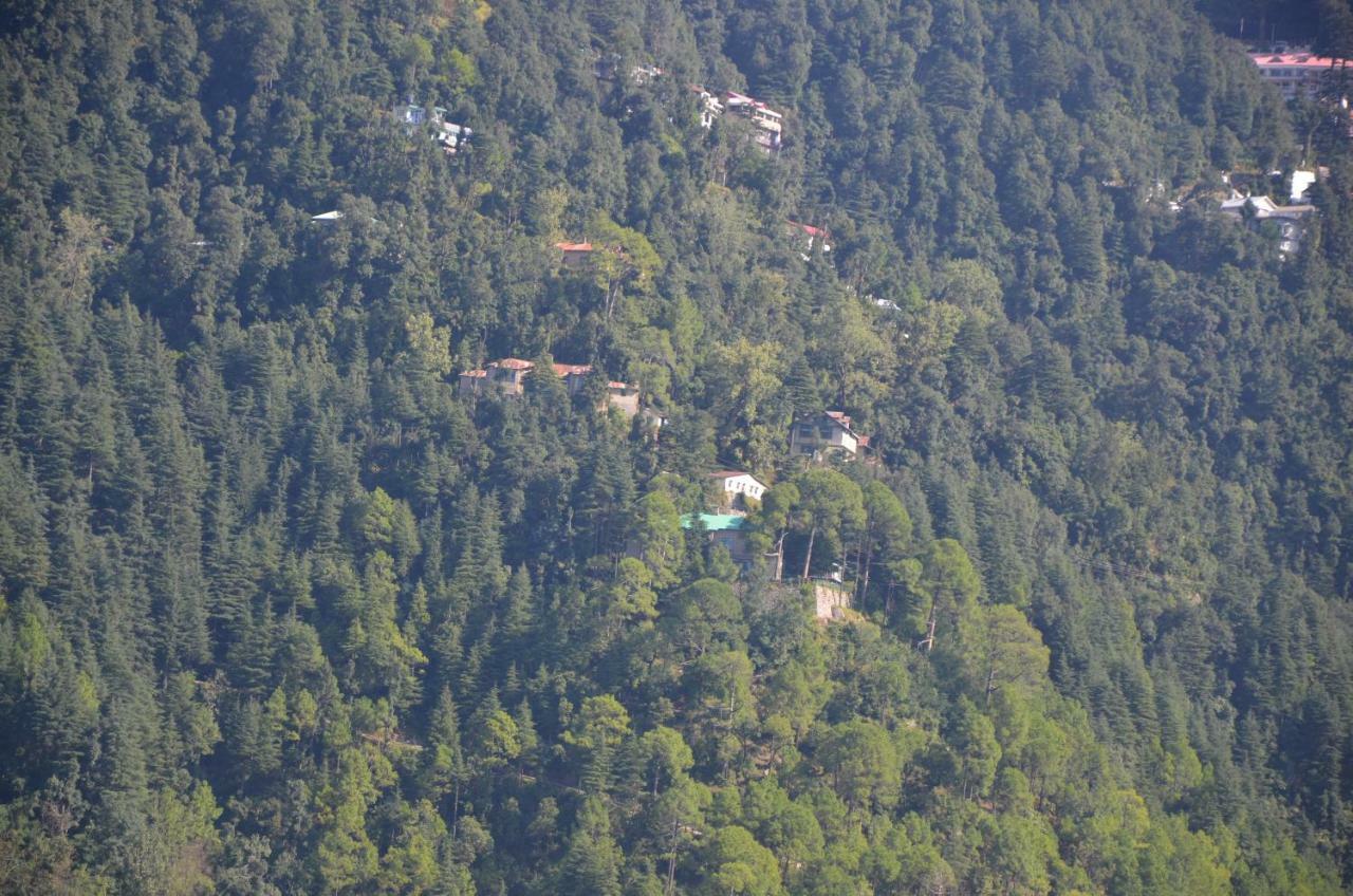 Peaceful Retreat Home Stay, ダルハウジ エクステリア 写真